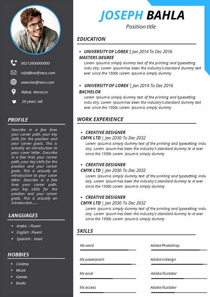Free CV/ Resume Template In PSD & Ai For Web Developers 