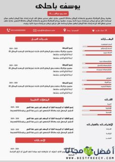 سيرة ذاتية منظمة وجيدة بالعربية