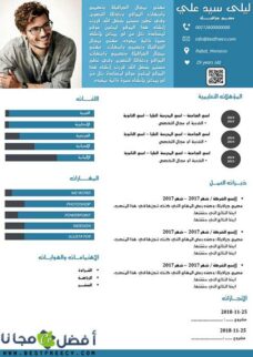 نموذج سيرة ذاتية احترافي بالعربية